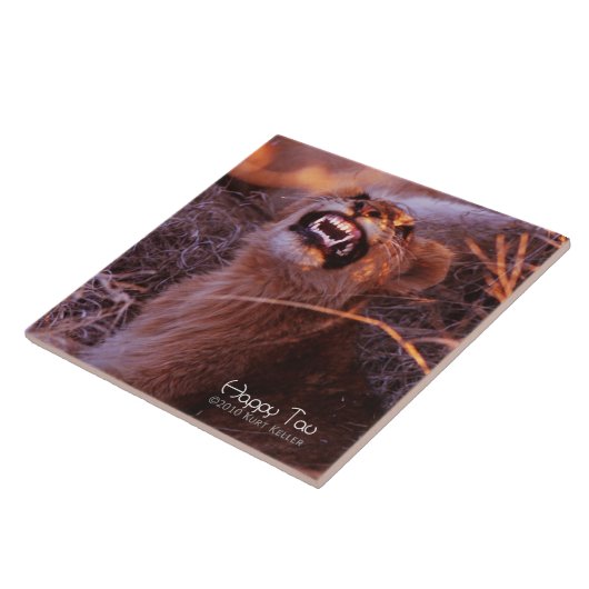 ハッピータウ タイル (側面)