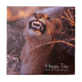 ハッピータウ タイル (正面)