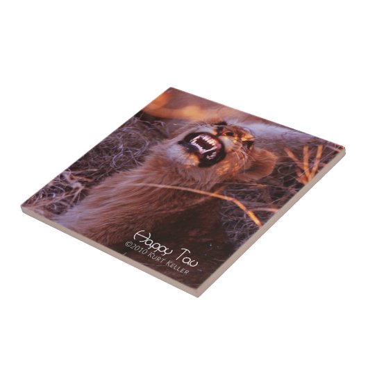 ハッピータウ タイル (側面)