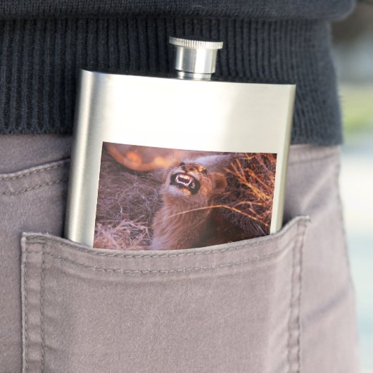 ハッピータウ フラスク (インサイチュ)