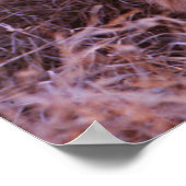 ハッピータウ ポスター (角)