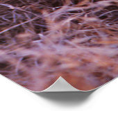 ハッピータウ、微笑むライオンカブ ポスター (角)