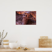 ハッピータウ、微笑むライオンカブ ポスター (キッチン)