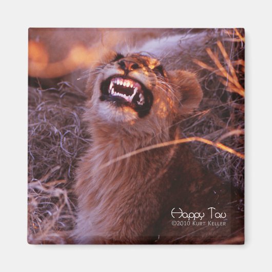 ハッピータウ、微笑むライオンカブ マグネット (正面)