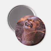 ハッピータウ、微笑むライオンカブ マグネット (正面/裏面)