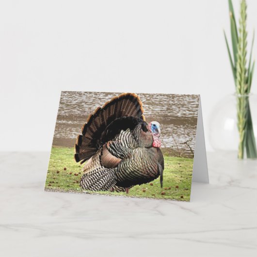 ハッピータンクスギビング カード (正面)