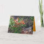 ハッピータンクスギビング! by Janz シーズンカード (正面)