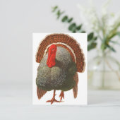 ハッピーターキーデイヴィンテージトルコ ポストカード (スタンド正面)