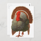 ハッピーターキーデイヴィンテージトルコ ポストカード (正面/裏面)