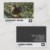 ハッピーダック 名刺 (正面/裏面)