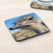 ハッピーダリッチ コースター (左側)