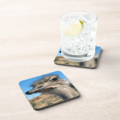 ハッピーダリッチ コースター (右側)