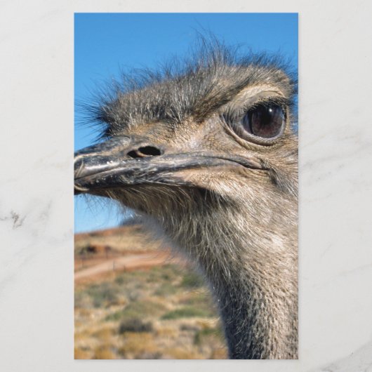 ハッピーダリッチ 便箋 (正面)