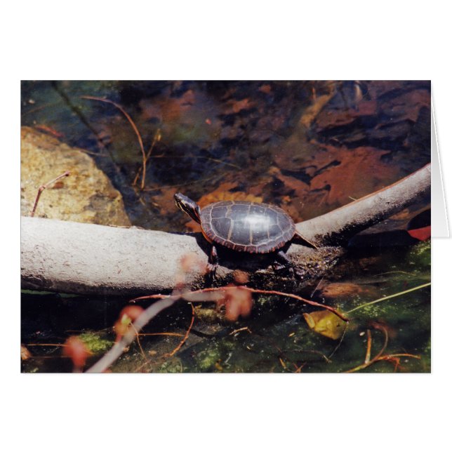 ハッピートルーム (正面横)