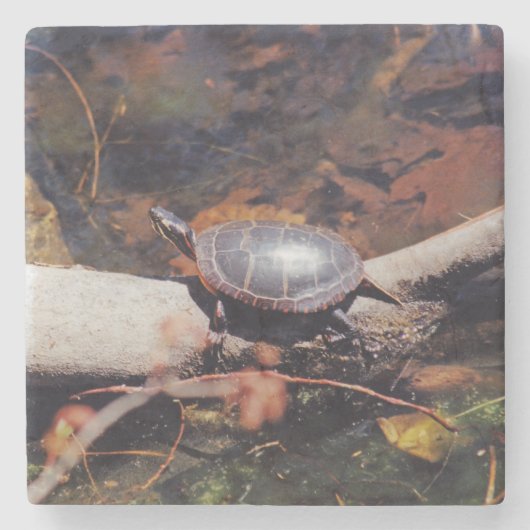 ハッピートルーム ストーンコースター (正面)