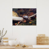 ハッピートルーム ポスター (キッチン)