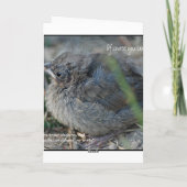 ハッピートレイル カード (裏面)