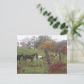 ハッピートレイル！ ポストカード (スタンド正面)