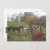 ハッピートレイル！ ポストカード (正面/裏面)