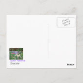 ハッピートレイル！ ポストカード (裏面)