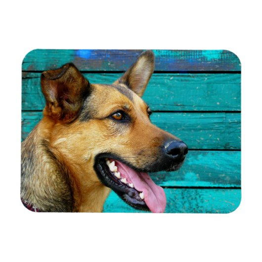 ハッピードイツの羊飼い犬 マグネット (横)