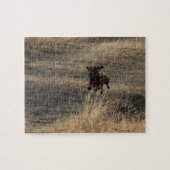 ハッピードシュント ジグソーパズル (横)