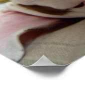 ハッピードッグプリント ポスター (角)