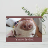 ハッピードッグ招待状 招待状 (スタンド正面)