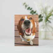 ハッピードッグ ポストカード (スタンド正面)