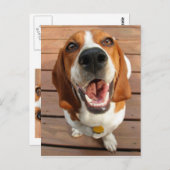 ハッピードッグ ポストカード (正面/裏面)