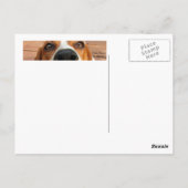 ハッピードッグ ポストカード (裏面)