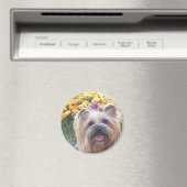 ハッピードッグ マグネット (インサイチュ (食洗機))