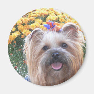 ハッピードッグ マグネット