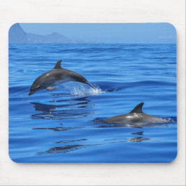 ハッピードルフィンズ マウスパッド