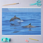 ハッピードルフィンズ 薄葉紙 (クラフト)