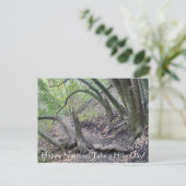 ハッピーナショナルハイキングの日! ポストカード (スタンド正面)