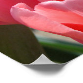 ハッピーナースウィークプリントポスター専用 ポスター (角)