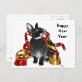 ハッピーニューイヤーブニー シーズンポストカード (正面/裏面)