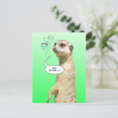 ハッピーニューイヤーメルカートはがき花火大会グリーン シーズンポストカード (スタンド正面)