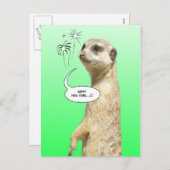 ハッピーニューイヤーメルカートはがき花火大会グリーン シーズンポストカード (正面/裏面)