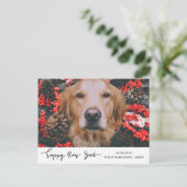 ハッピーニューイヤーモダンホリデードッグペットの写真 シーズンポストカード (スタンド正面)