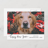 ハッピーニューイヤーモダンホリデードッグペットの写真 シーズンポストカード (正面/裏面)