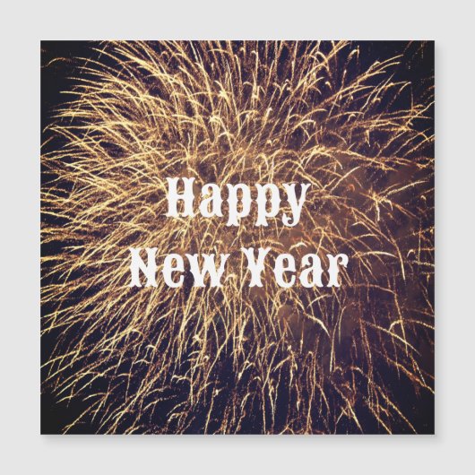 ハッピーニューイヤー金花火大会トレンディー2023 (正面)