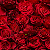 ハッピーニューイヤーMugs 2025 マグカップ