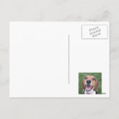 ハッピーハウデイ!ビーグルスノーウィーズポストカード シーズンポストカード (裏面)