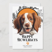 ハッピーハウリデイズアイリッシュ赤と白セッタードッグ シーズンカード (正面)