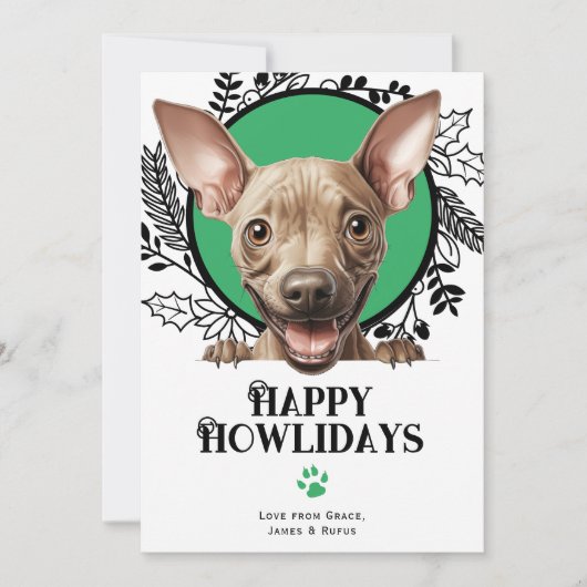 ハッピーハウリデイズアメリカンヘアレスドッグクリスマス シーズンカード (正面)