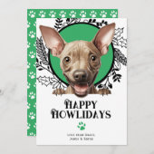 ハッピーハウリデイズアメリカンヘアレスドッグクリスマス シーズンカード (正面/裏面)