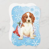 ハッピーハウリデイズウェルシ シーズンカード (正面/裏面)