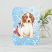 ハッピーハウリデイズウェルシ シーズンカード (スタンド正面)